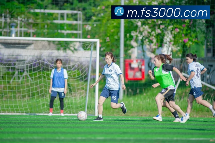 mksports在线登录平台生态图